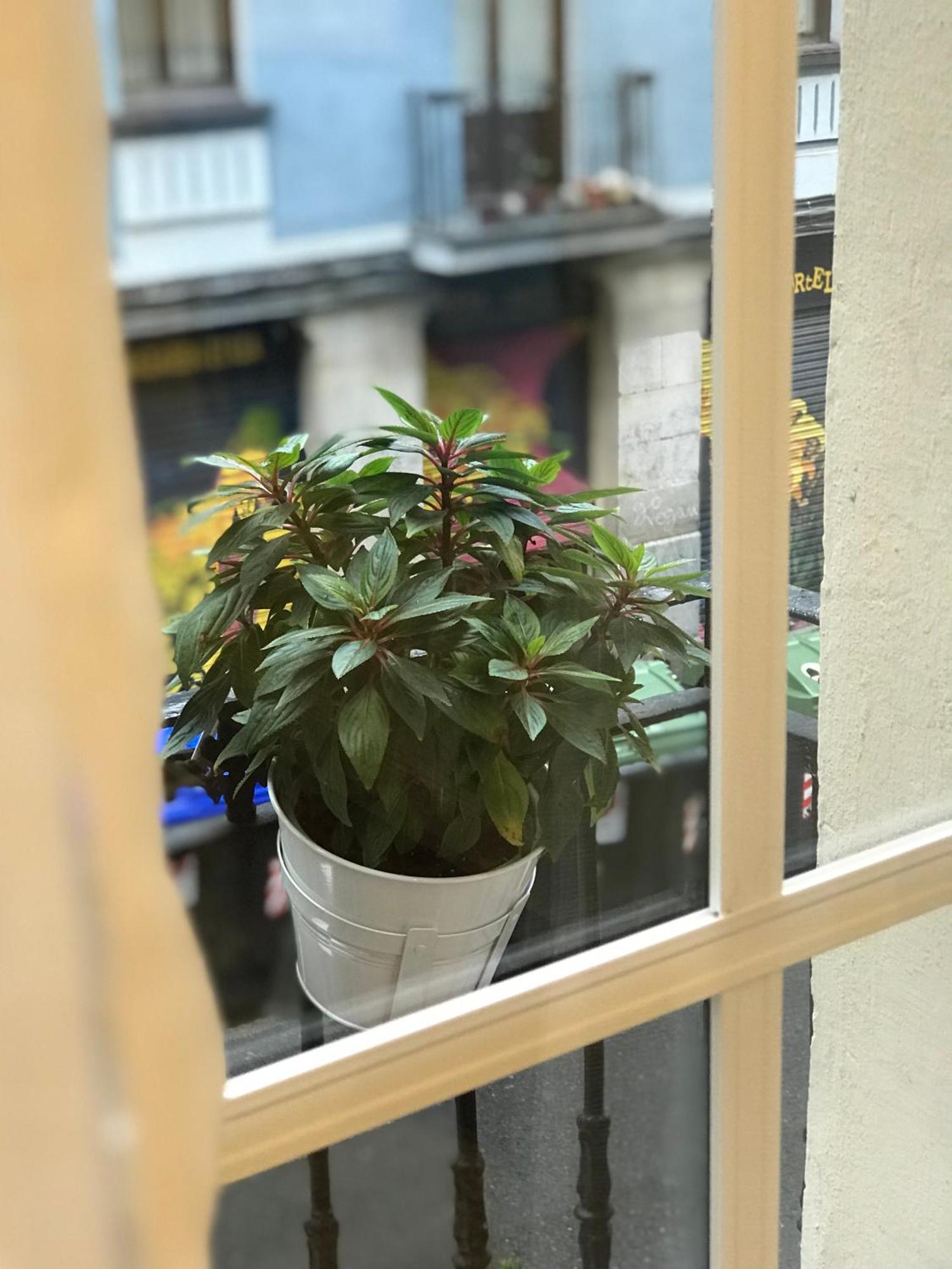 Ferienwohnung Fika Flat Casco Viejo Parking 15Euro X Dia Bilbao Exterior foto